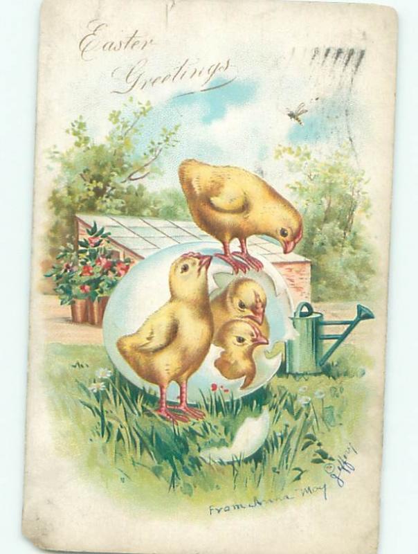 Pre-Linen Easter ANTIQUE WATERING CAN BEHIND CUTE CHICKS AB3797