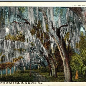 c1930s St. Augustine, Fla Garnett Orange Grove Drive Moss Covered Oak Trees A221