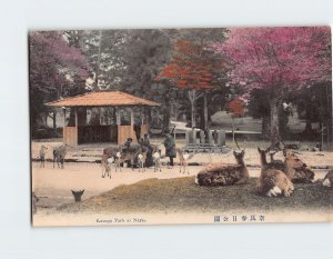 Postcard Kasuga Park at Nara Japan