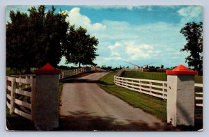 JH4/ Lexington Kentucky Postcard Chrome Calumet Horse Farm Blue Grass 127