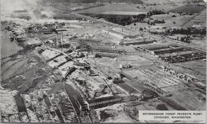Longview WA Weyerhaeuser Forest Plant (Unique Cancel) c1953 Litho Postcard F62