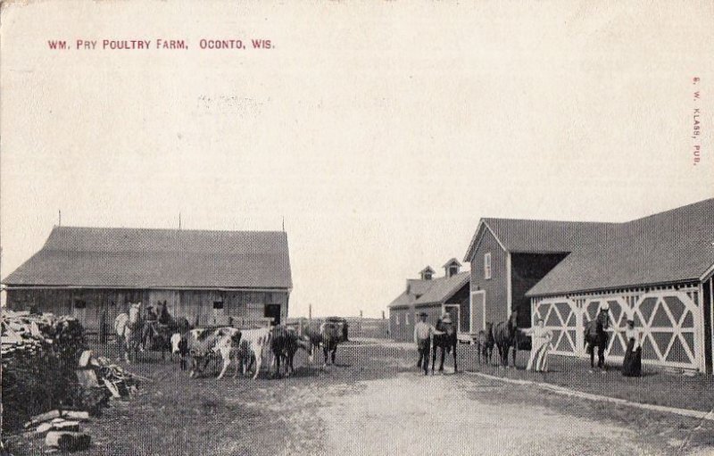 Postcard Wm Pry Poultry Farm Oconto WI