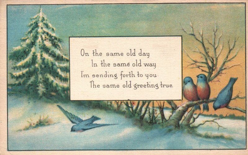 Vintage Postcard 1918 The Same Old Day Same Old Way Greetings Birds Pine Tree 