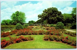 M-92248 Flower Beds In Sinnissippi Park Sunken Gardens Rockford Illinois