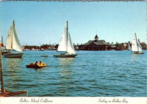 Newport Beach, CA California  SAILING~BALBOA BAY & ISLAND Sailboats 4X6 Postcard