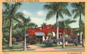 Vintage Postcard Pretty Bungalow Tropical Grounds Landscape St. Petersburg FL