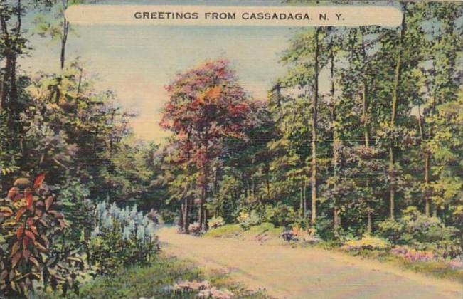 New York Greetings From Cassadaga