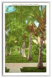 Cocoanut Avenue Fort Myers Florida FL UNP Chrome Postcard M18