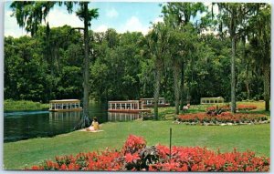 M-84970 Glass Bottom Boats cruising over Silver River Silver Springs FL