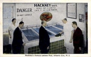 Hackneys Famous Lobster Pool - Atlantic City, New Jersey NJ Postcard