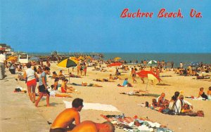 Hampton Virginia Buckroe Beach Vintage Postcard JH230094