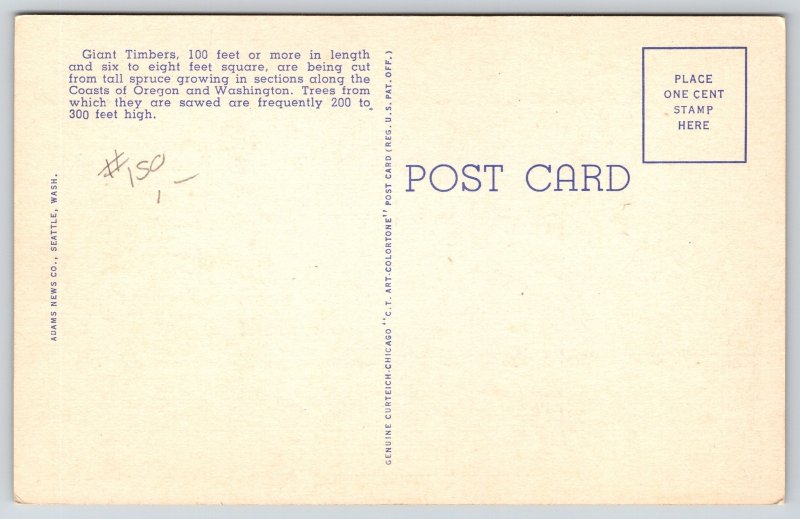 Linen~Washington Toothpicks Timber Squares~Vintage Postcard