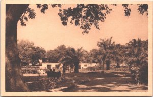 Mali Bamako The Zoological Garden Vintage Postcard 09.13 