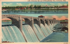 Columbus Zoo & O'Shaughnessy Dam Columbus Ohio W.E. Ayres Vintage Postcard 1955