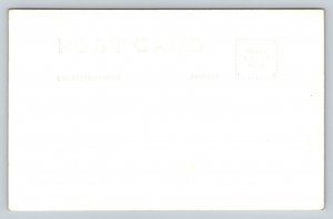 Black Hills  South Dakota  Cathedral Spires   Postcard