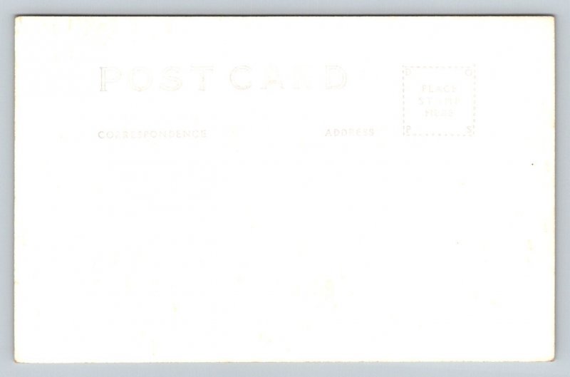 Black Hills  South Dakota  Cathedral Spires   Postcard