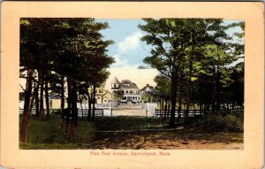 Pine Tree Avenue, Harwichport MA c1912 Vintage Postcard R64