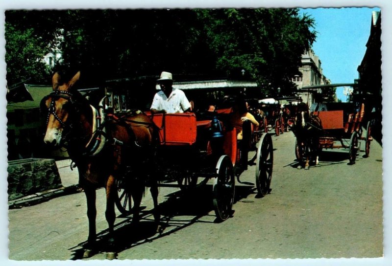 3 4x6 Postcards NEW ORLEANS, LA ~ Street Car, Carriages & Jackson Square 1980