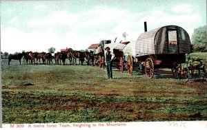 A twelve horse team, freighting to the Mountains - c1908