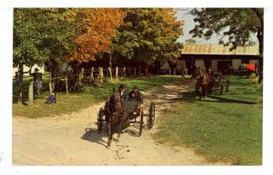 PA - Amish/Mennonite Culture. Mennonite Courting Buggy