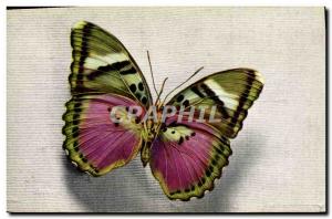 Old Postcard Butterfly Cethosia Tonkin Indochina Vietnam