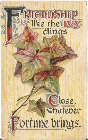 Yellow Wood grain Background with Ivy Leaves Stems Friendship Vintage Postcard