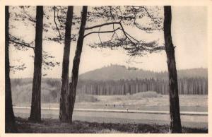 Bavorova Czech Republic Scenic View Antique Postcard J77356