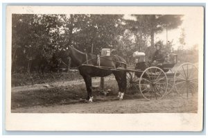 c1910's Girl Horse And Wagon Ride Dog Springfield MA RPPC Photo Antique Postcard 