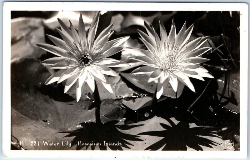 c1910s HI Hawaiian Islands Water Lily RPPC Nature Flower Real Photo KH Ltd A282