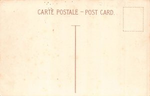 Anthropomorphic Cats Very usual experience Honeymooning Hotel postcard B904