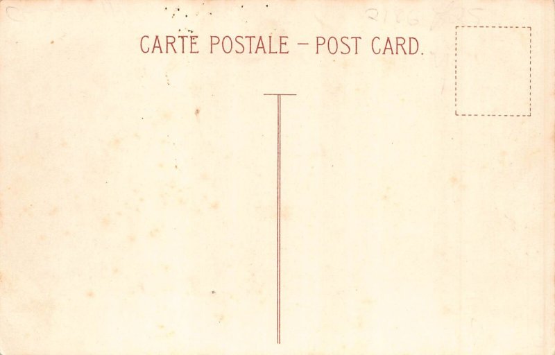 Anthropomorphic Cats Very usual experience Honeymooning Hotel postcard B904