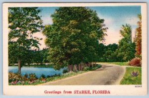 GREETINGS FROM STARKE FLORIDA VINTAGE LINEN POSTCARD