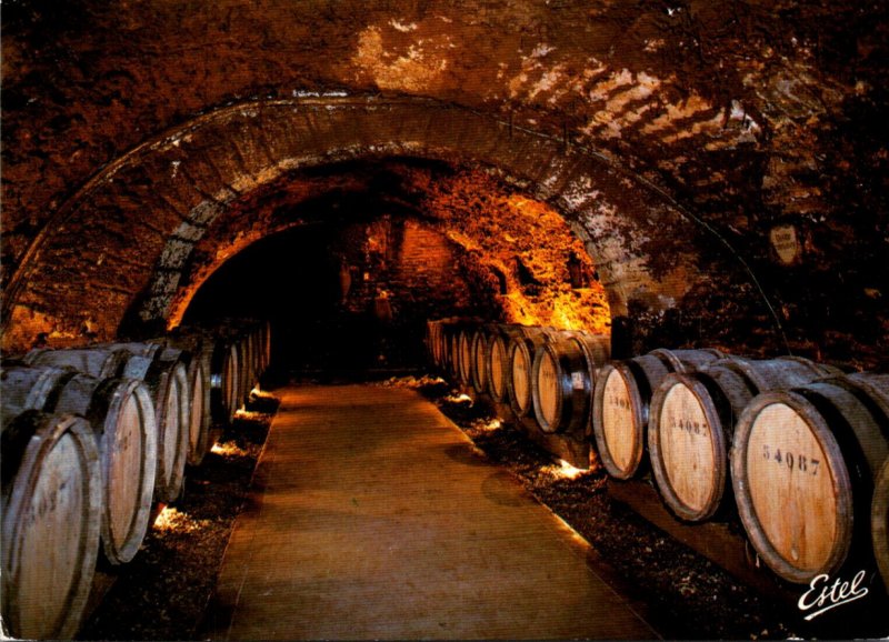 France Beaune Wine Cellar Resting Place Of Noble Wines