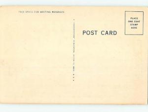 Unused Linen LODGE SCENE Livingston Manor New York NY J7356