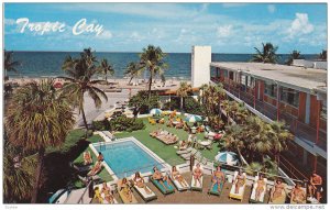 Tropic Cay, Swimming Pool, Palm Trees, Fort Lauderdale, Florida, United State...