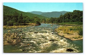 Esopus Creek Trout Stream Catskill Mountains New York Postcard Phoenicia Bridge