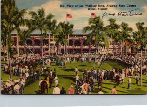 Florida Miami Hialeah Race Course View Of The Walking Ring 1951 Curteich