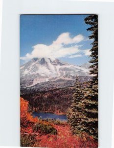 Postcard Magnificent Mount Rainier Washington USA