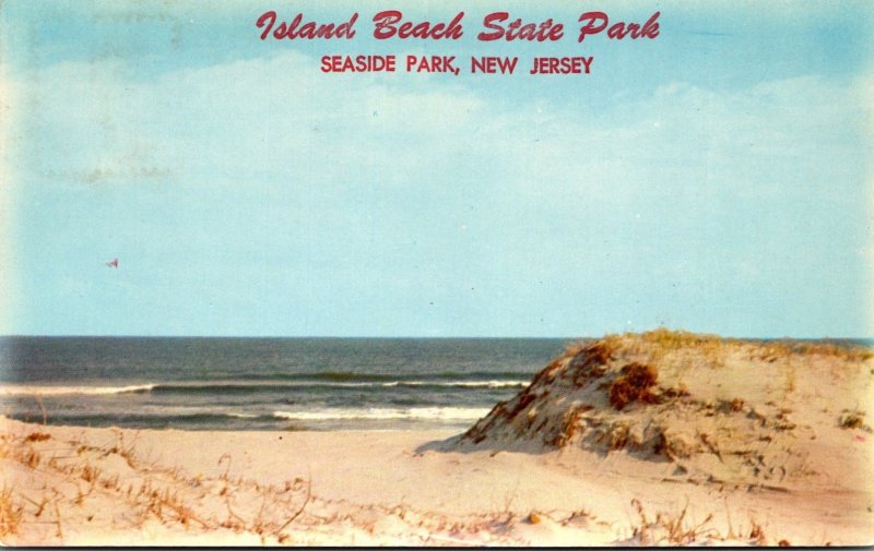 New Jersey Seaside Park Island Beach State Park Sand Dunes