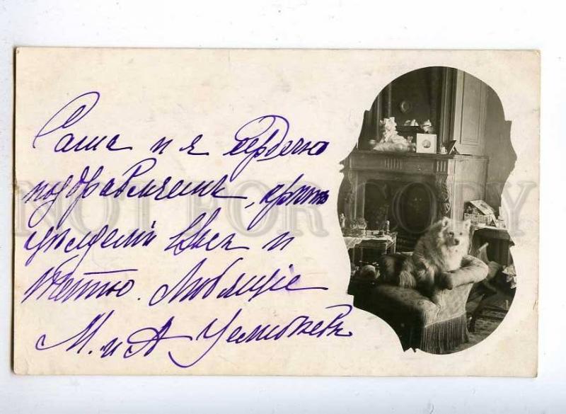 190032 White SPITZ in Armchair FIREPLACE Vintage REAL PHOTO