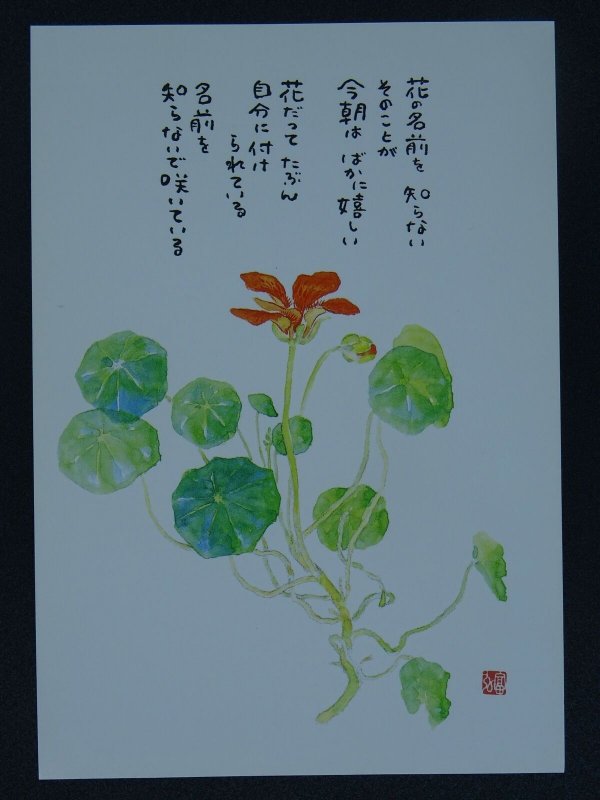 THE FLOWERS NAME Paintings Poems by Japanese Disabled Artist Tomihiro Hoshino PC