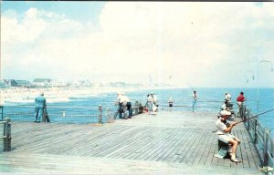 Postcard PIER SCENE Ocean City Maryland MD AM9199