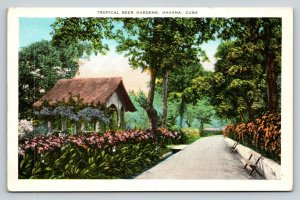Tropical Beer Gardens Havana Cuba Linen Postcard Gardens of La Tropical