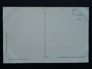 Fruit Berries & Nuts Study APPLES & NUTS Artist Mario Somasca c1910 Postcard