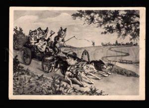 3051223 Dressed CATS & LAIKA as Horse BALALAIKA Photo