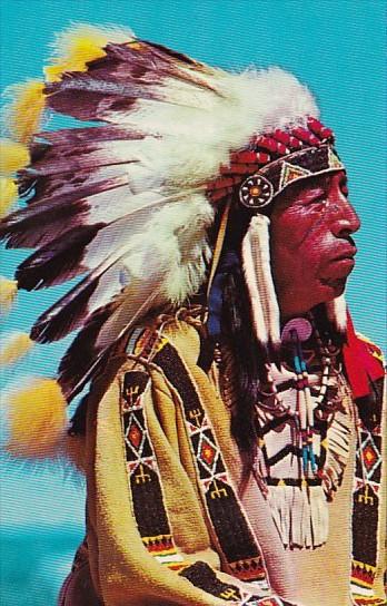 Black Elk A Sioux Indian Warrior