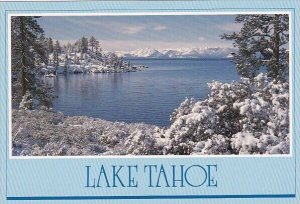 Lake Tahoe Winter Wonder Land Lake Tahoe California