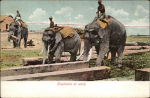 RANGOON INDIA Elephants at Work c1910 Postcard