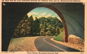 Vintage Postcard Loop Under Bus Chimney Top Newfound Gap Highway Great Smoky Mt.