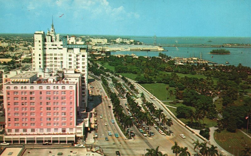 Miami Florida, Palm-Lines Bisvcayne Boulevard Famous Hotel Row, Vintage Postcard